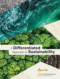 APA 2020 Sustainability Report