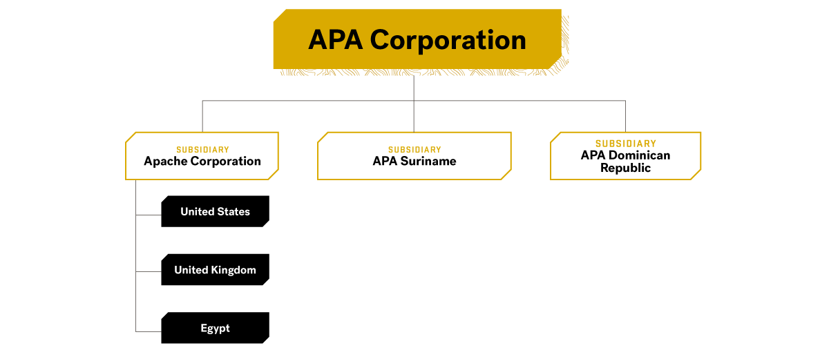 APA Corp Org Chart