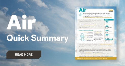 APA Air Quick Summary