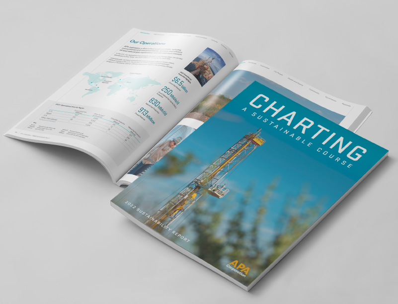 Our Award-Winning  Sustainability Report Design