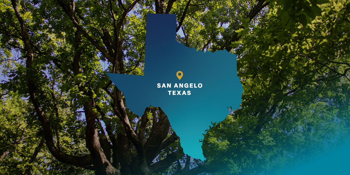 The Hope of Apache Trees Keeps San Angelo Beautiful